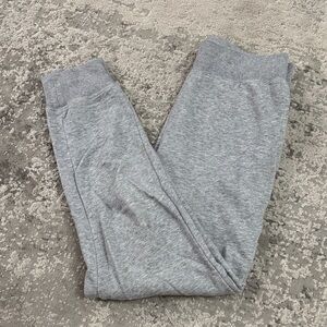 Aritzia Grey Jogger Pants